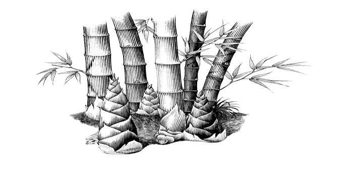 Cereais Bambu